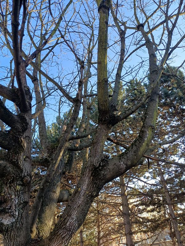 ​Rekonstrukce parku Bzenecká byla zahájena.